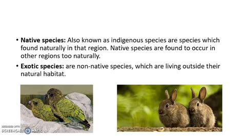 what is native species.